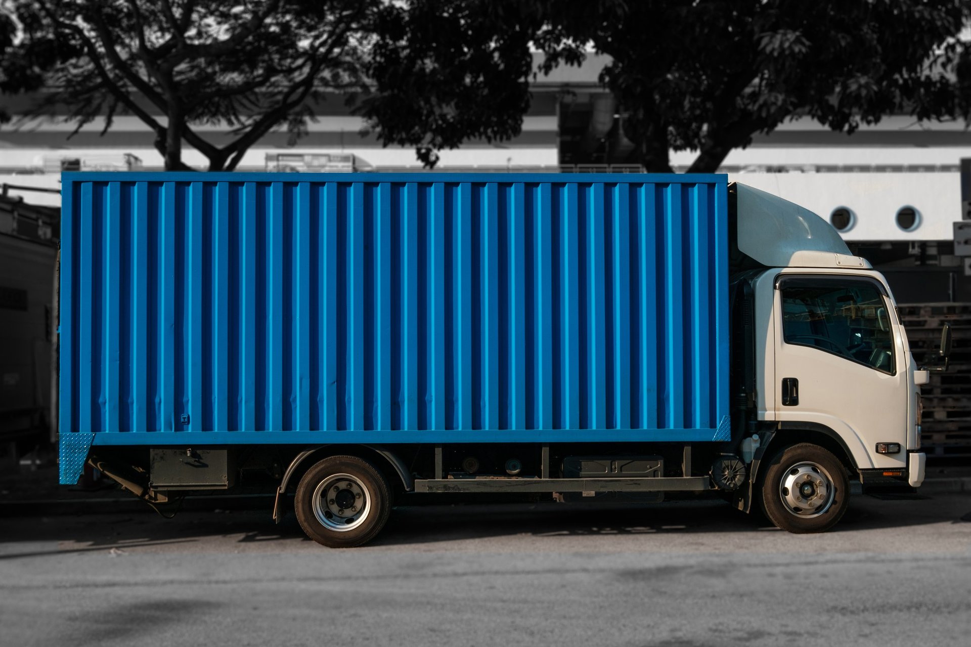 Professional junk removal services